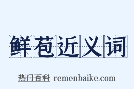 鲜苞近义词是什么意思的图片